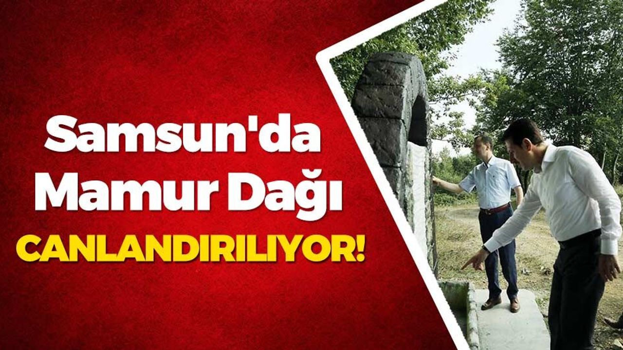 Samsun'da Mamur Dağı Canlandırılıyor