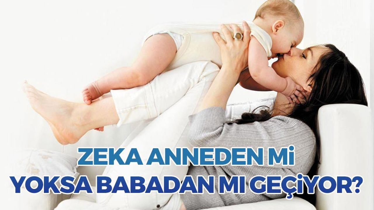 Zeka Anneden Mi Yoksa Babadan Mı Geçiyor?