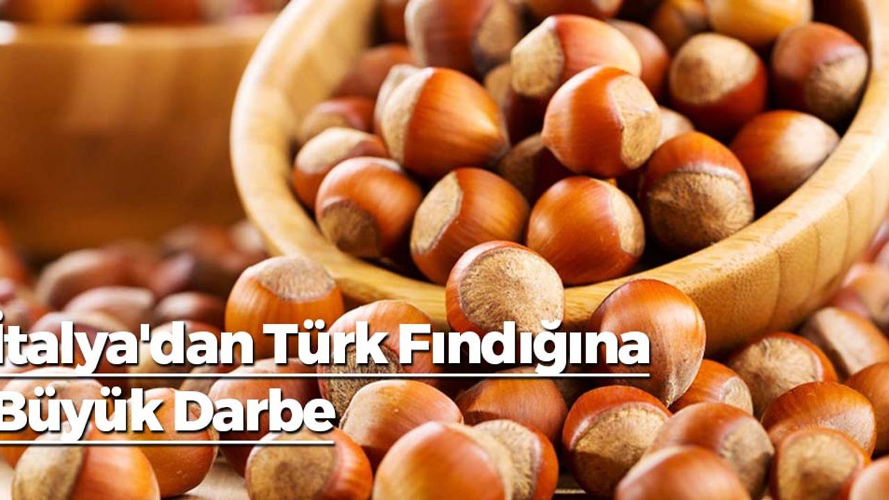 İtalya'dan Türk Fındığına Büyük Darbe