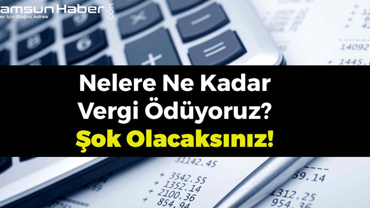 Nelere Ne Kadar Vergi Ödüyoruz? Şok Olacaksınız!
