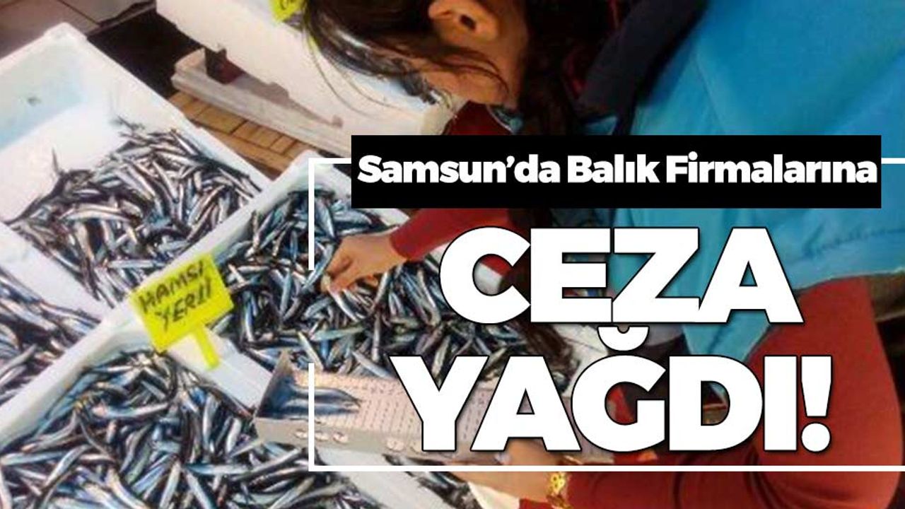 Samsun'da Balık Firmalarına Ceza Yağdı!