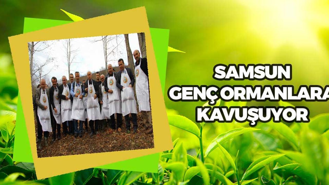 Samsun Genç Ormanlara Kavuşuyor