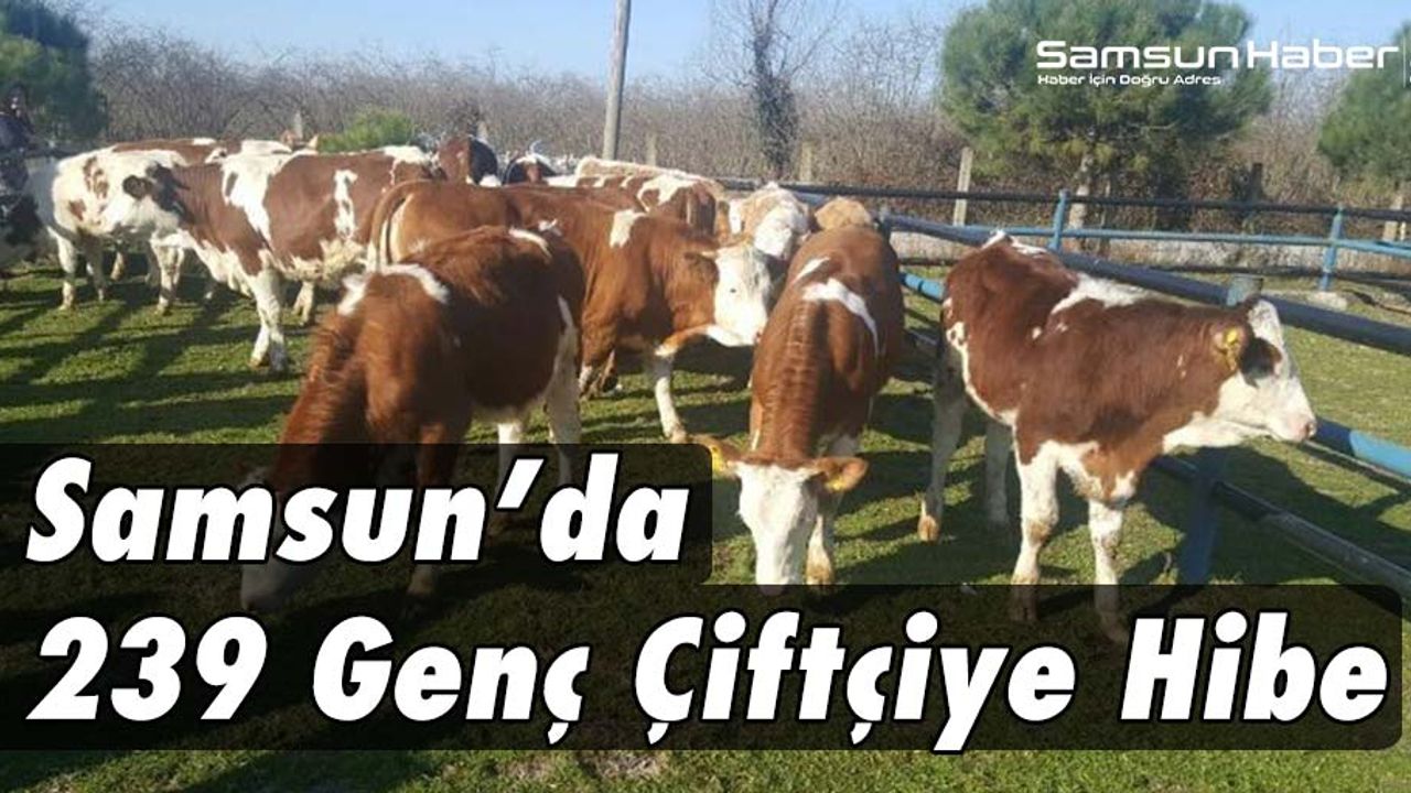 Samsun'da Genç Çiftçilere Hibe Desteği