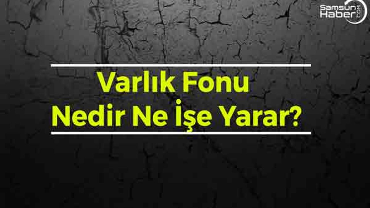 Varlık Fonu Nedir Ne İşe Yarar?