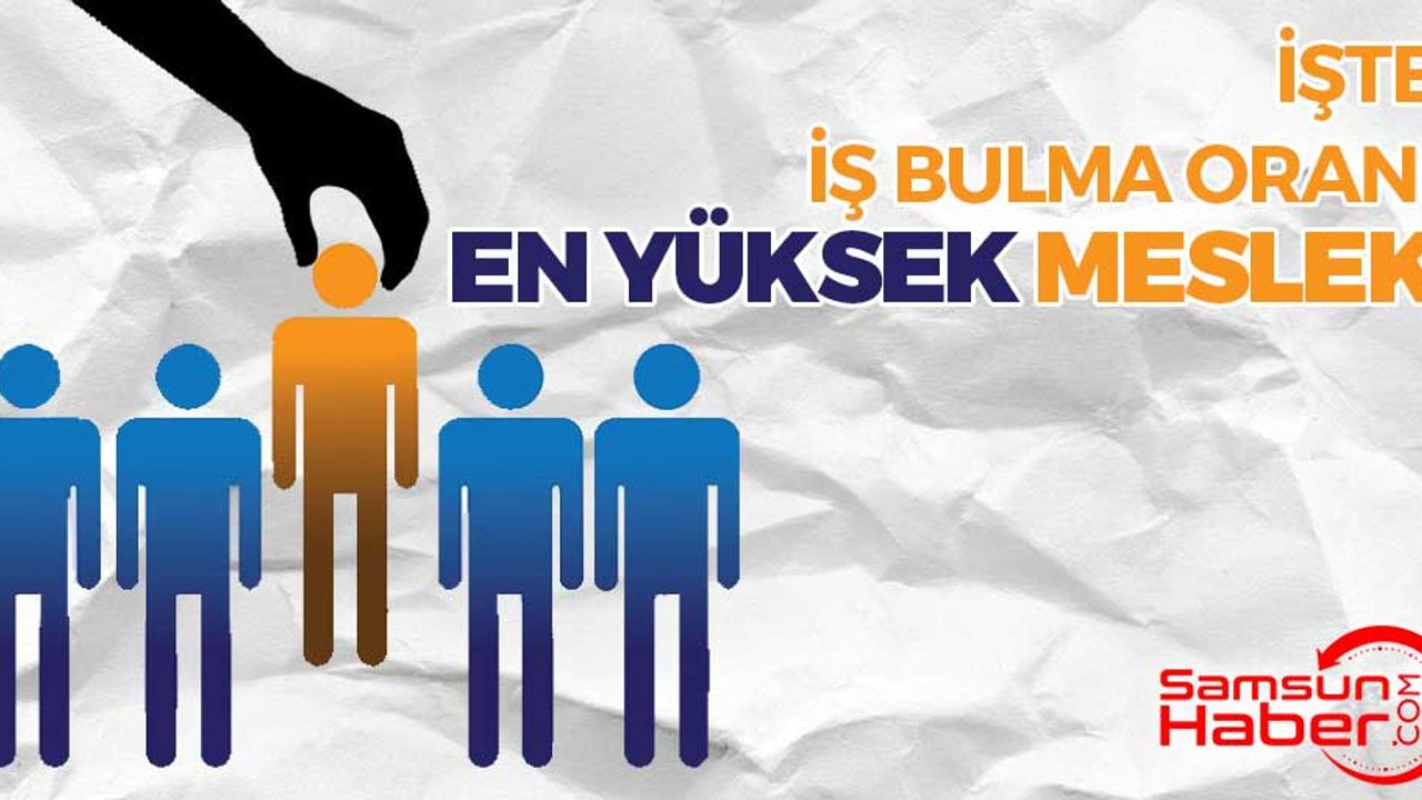 Türkiye'de İş Bulma İhtimali En Yüksek Meslek...