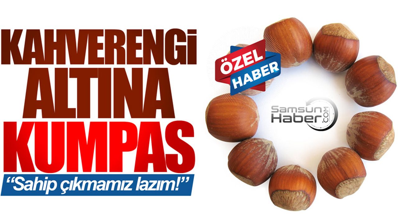 ZMO Samsun Şube Başkanı Tosun: Fındık üreticisine kumpas kuruluyor