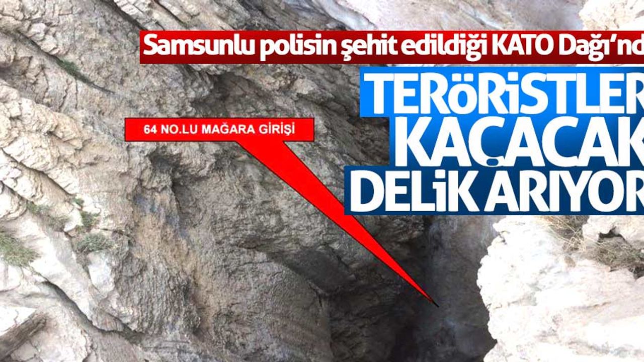 Samsunlu polisin şehit olduğu bölgede teröristlere darbe