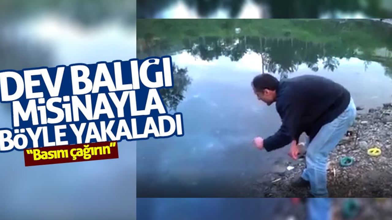 Samsun'da oltacılar 25 kiloluk yayın balığını böyle yakaladı