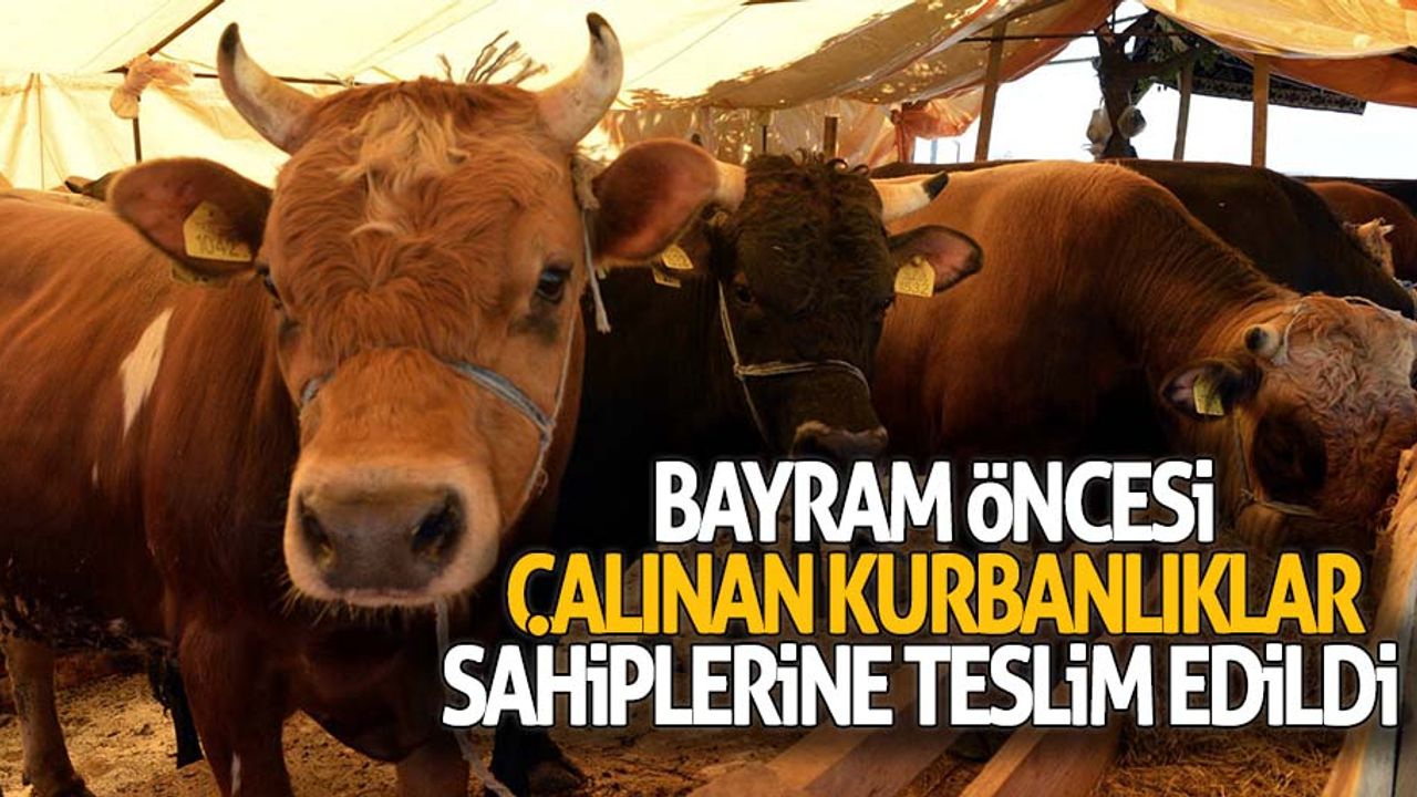 Bayram öncesi çalınan kurbanlıklar sahiplerine teslim edildi