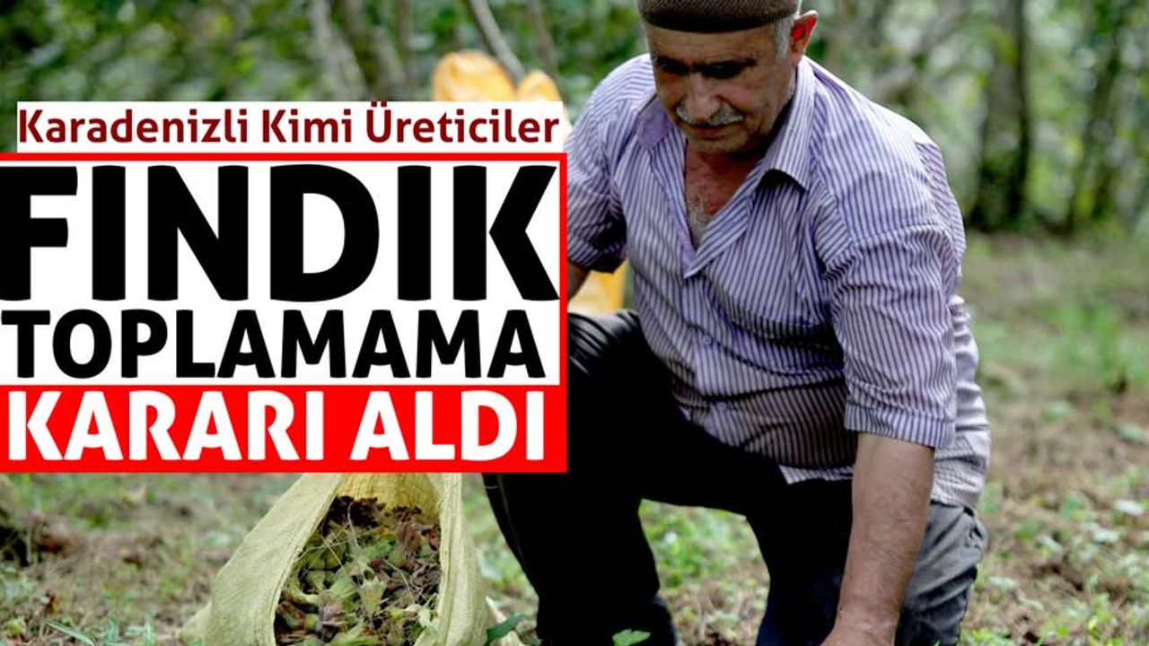Karadenizli üreticiler fındık toplamama kararı aldı