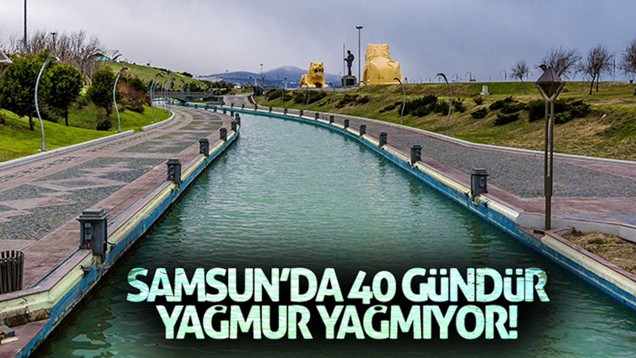 Samsun'da 40 gündür yağmur yağmıyor