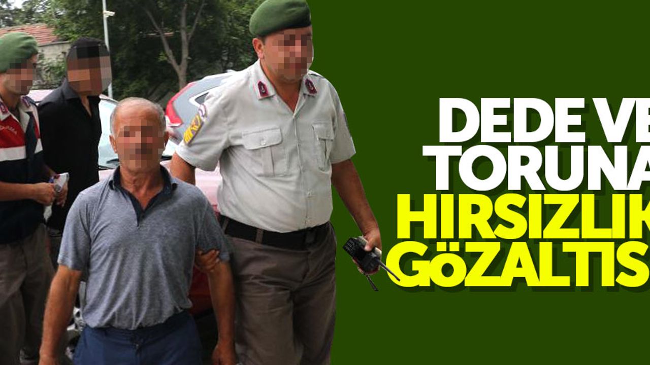Samsun'da dede ile toruna hırsızlık gözaltısı