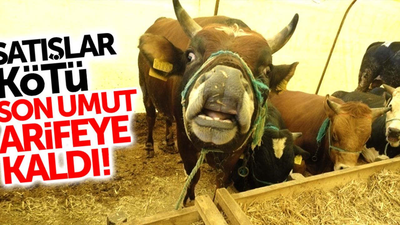 Samsun'da kurban satıcılarının son umudu arifeye kaldı