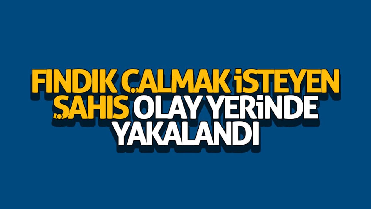 Fındık çalmak isteyen şahıs olay yerinde yakalandı 