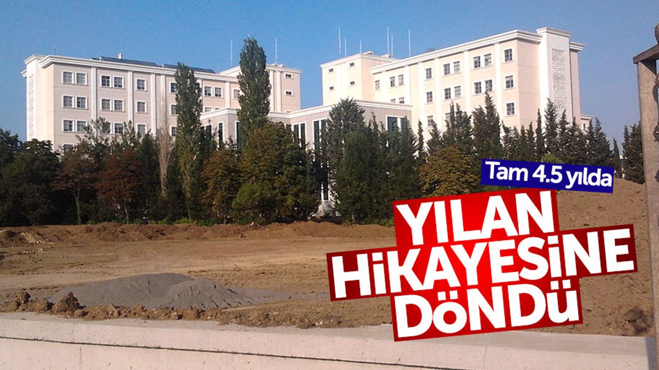 Samsun'da 4 buçuk yıllık yılan hikayesi
