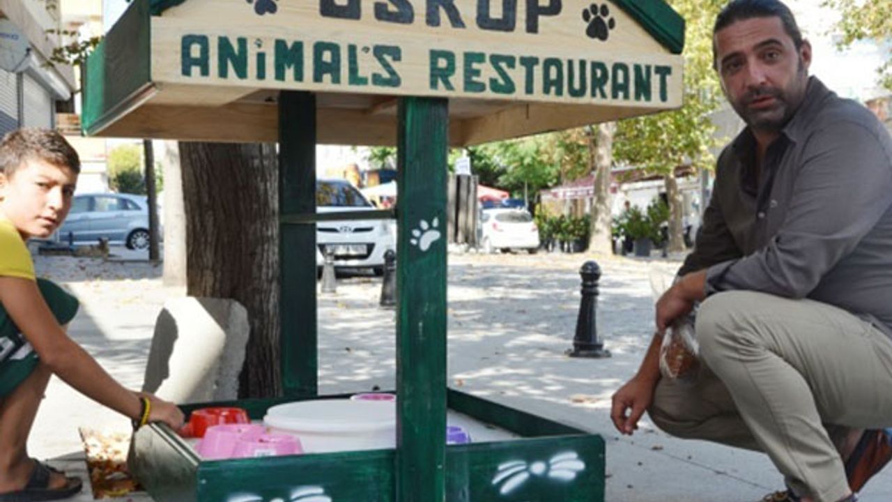 Sokak hayvanları için restoran yaptı