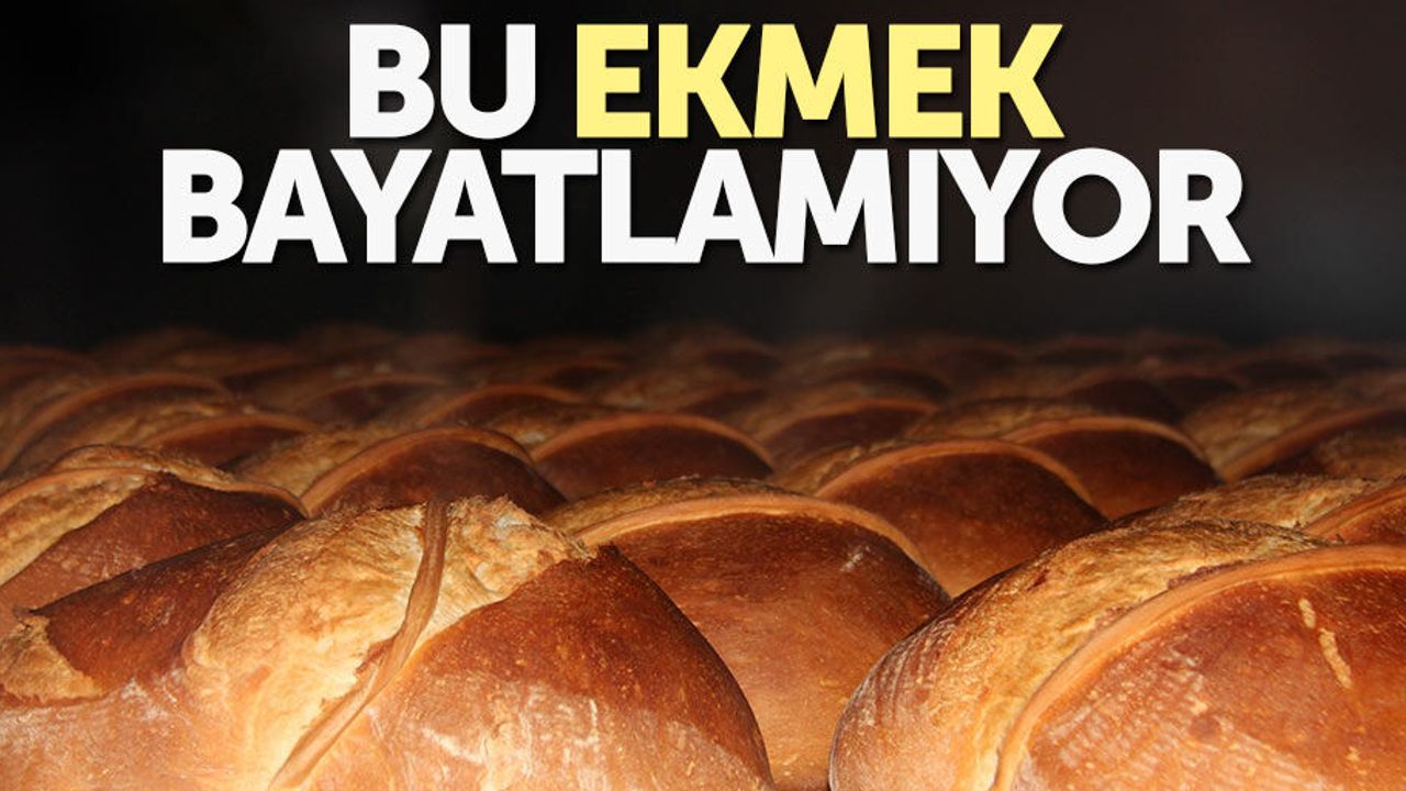 Karadeniz ekmeği 1 ayda bayatlıyor