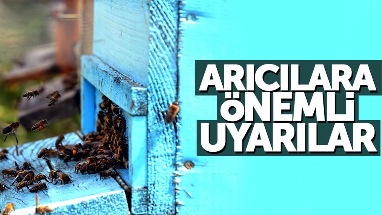 Samsun İli Arı Yetiştiriciler Birliği'nden önemli açıklama