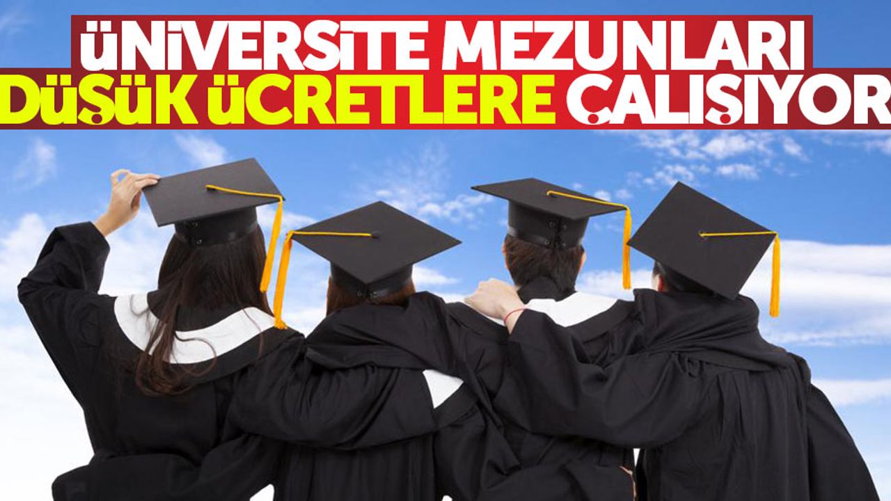 Üniversite mezunları düşük ücretlere çalışıyor