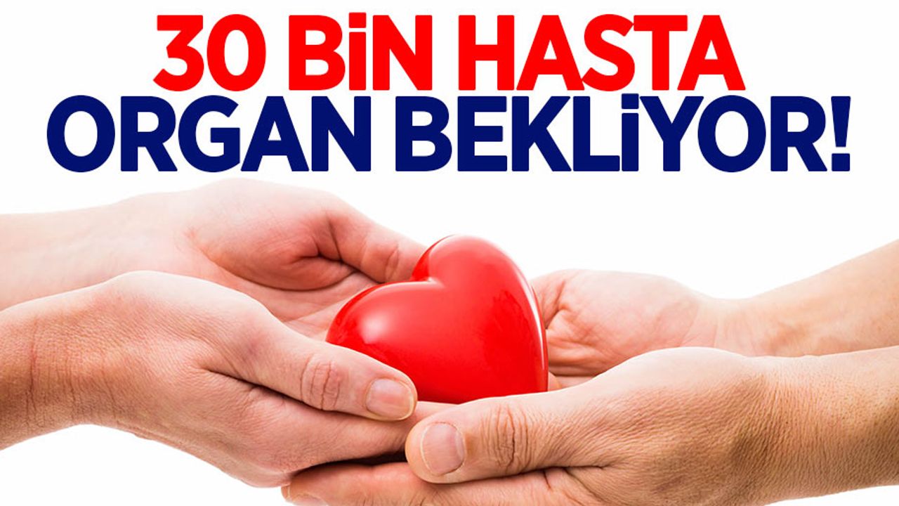 Mehmet Kazak: 30 bin hasta organ bekliyor