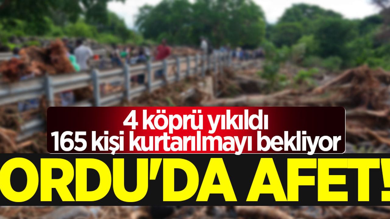 Ordu'da afet! 4 köprü yıkıldı, 165 kişi kurtarılmayı bekliyor