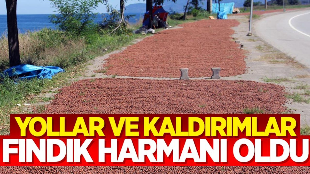 Yollar ve yaya kaldırımları fındık harmanı oldu