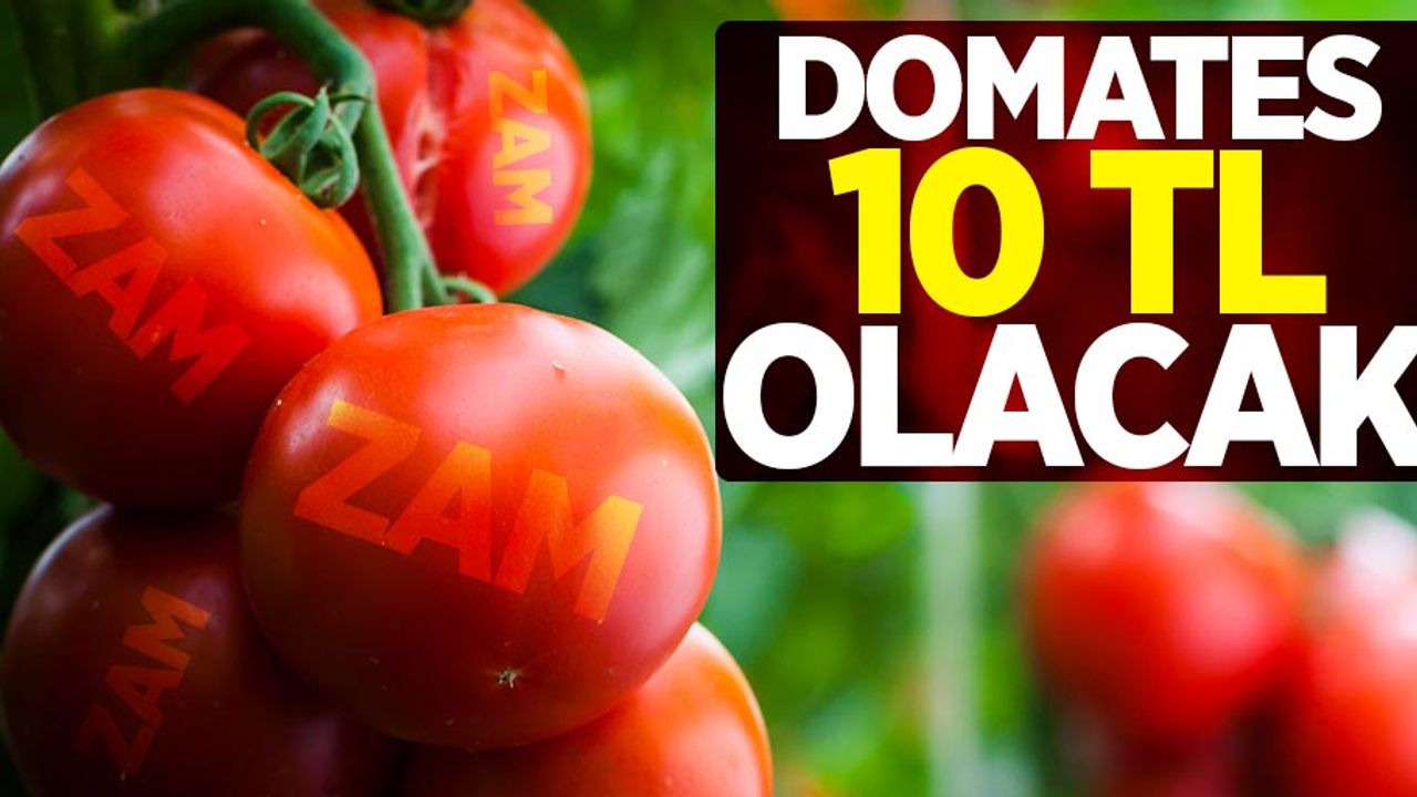 Domates ekim ayında 10 TL olacak!