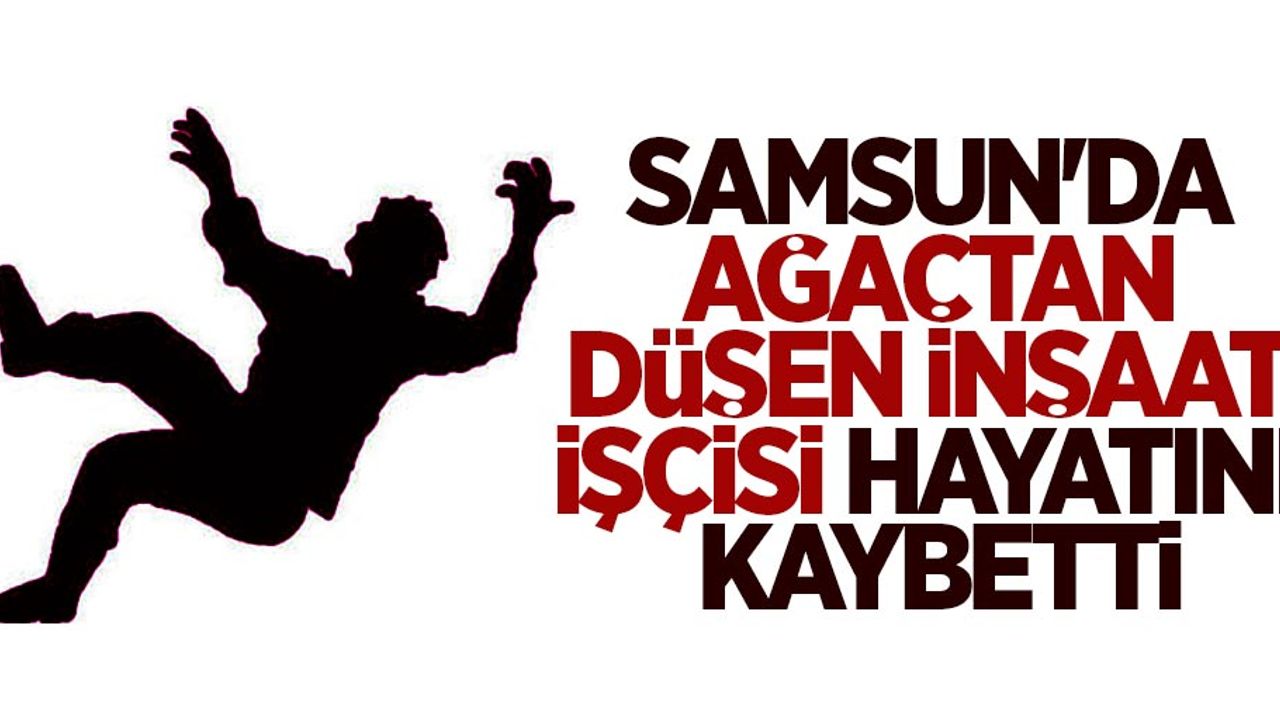 Samsun'da ağaçtan düşen işçi hayatını kaybetti