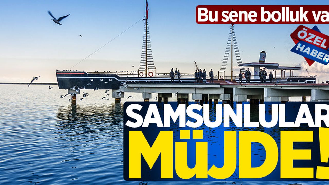Samsunlulara müjde! Bu sene bolluk var