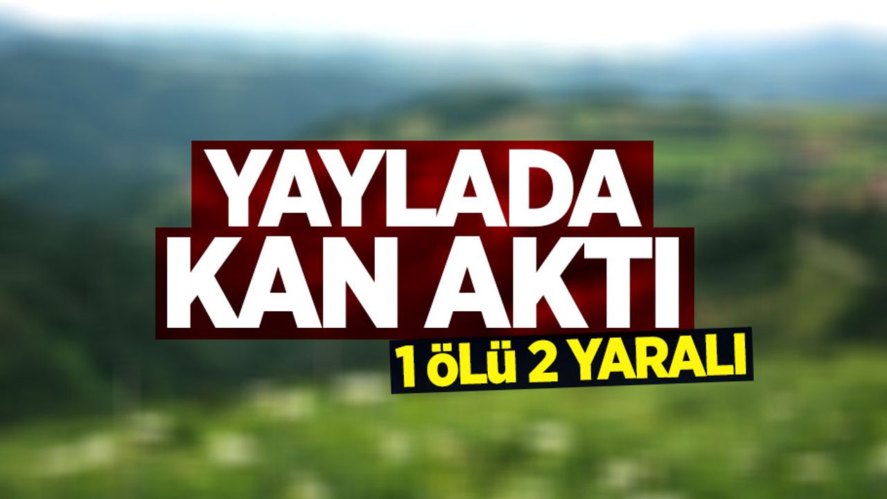 Yaylada kanlı tartışma: 1 ölü 2 yaralı