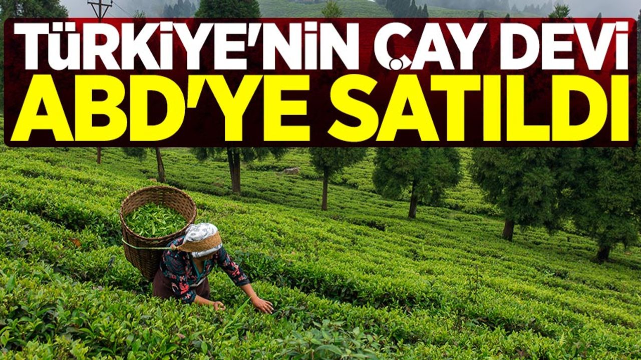 Türkiye'nin çay devi ABD'ye satıldı!