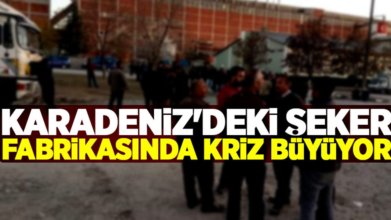 Karadeniz'deki şeker fabrikasında kriz büyüyor