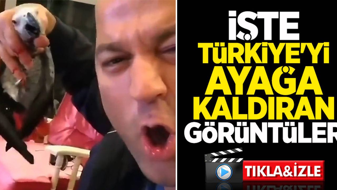 Murat Özdemir papağana işkence videosu Türkiye'yi ayağa kaldırdı