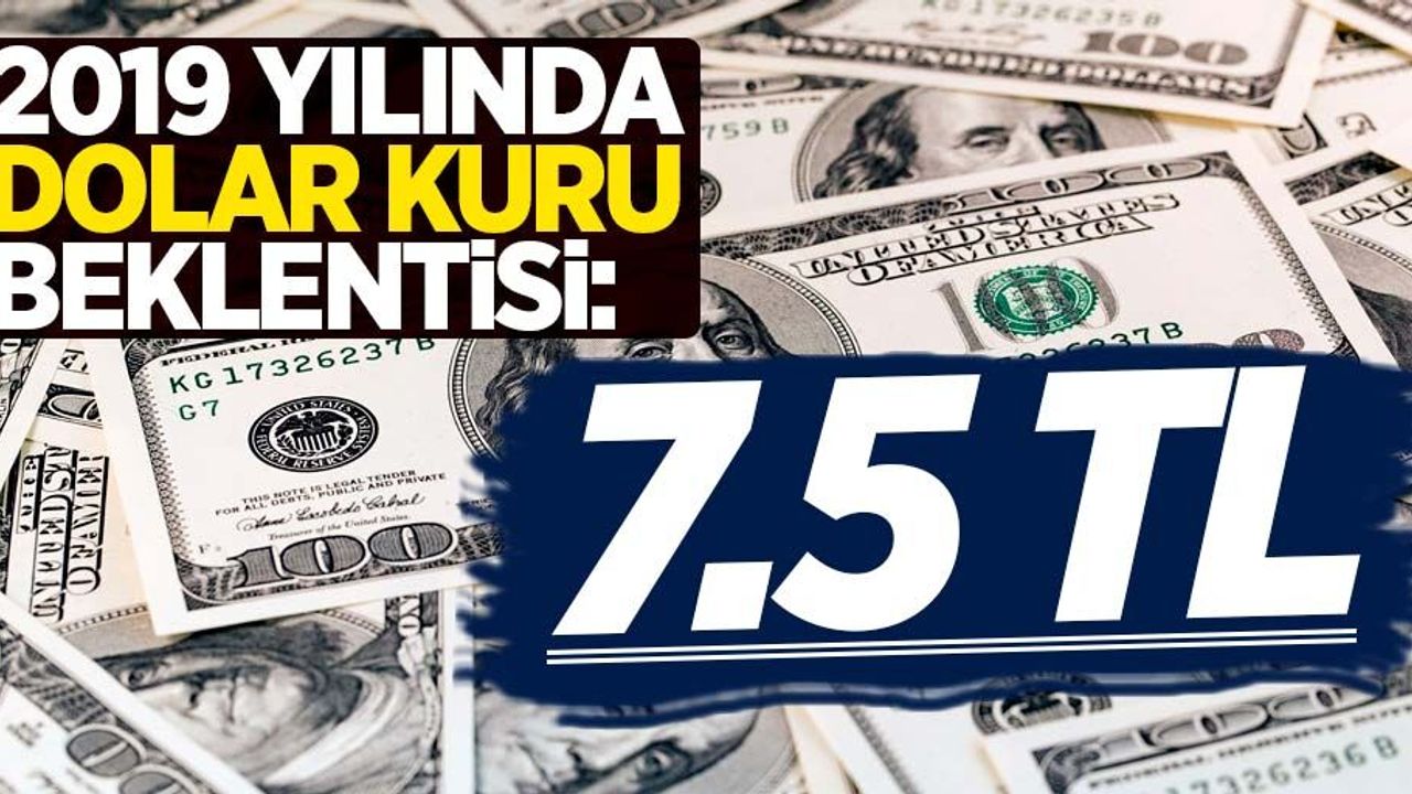 2019 yılında dolar kuru beklentisi: 7.5 TL