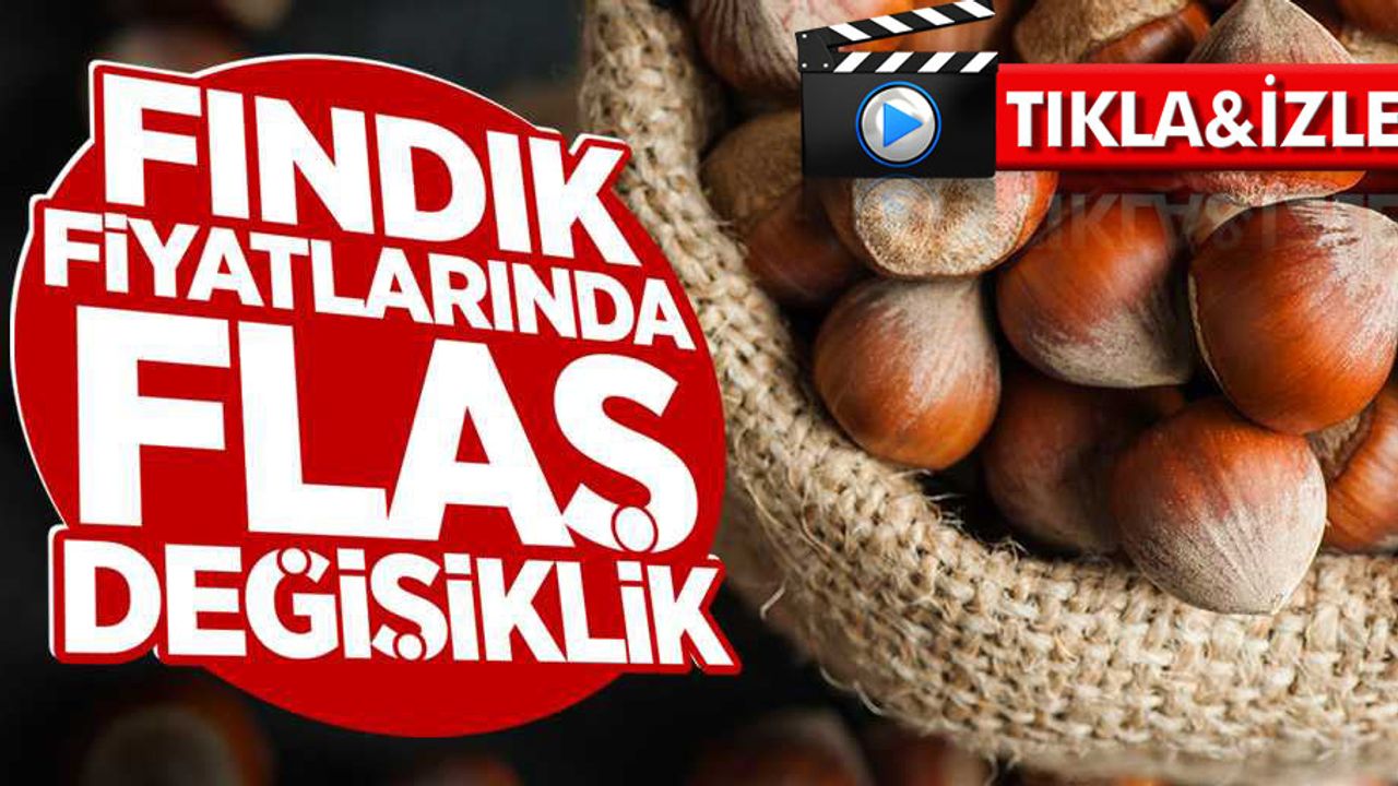 Fındık Fiyatlarında Flaş Yükseliş / 21 Ocak Pazartesi