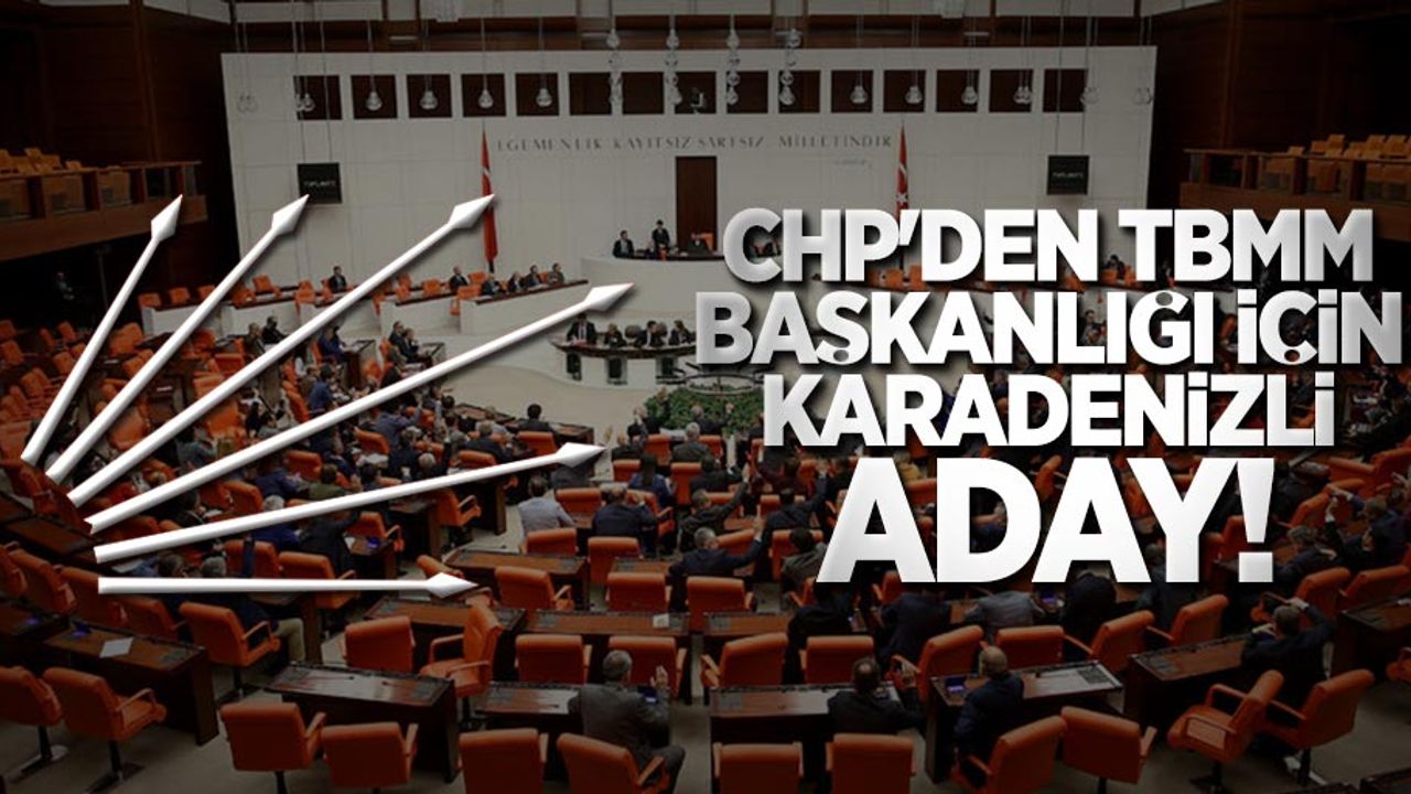 CHP'den TBMM Başkanlığı için Karadenizli aday 