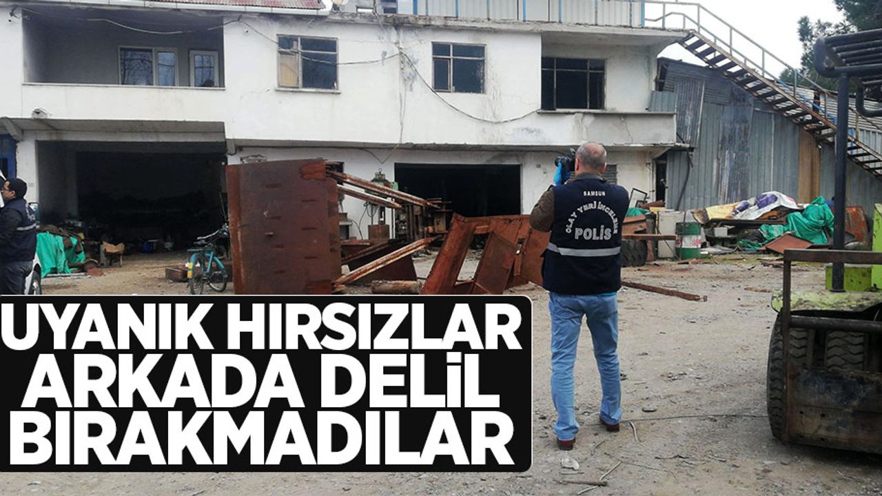 Samsun'da uyanık hırsızlar arkada delil bırakmadılar