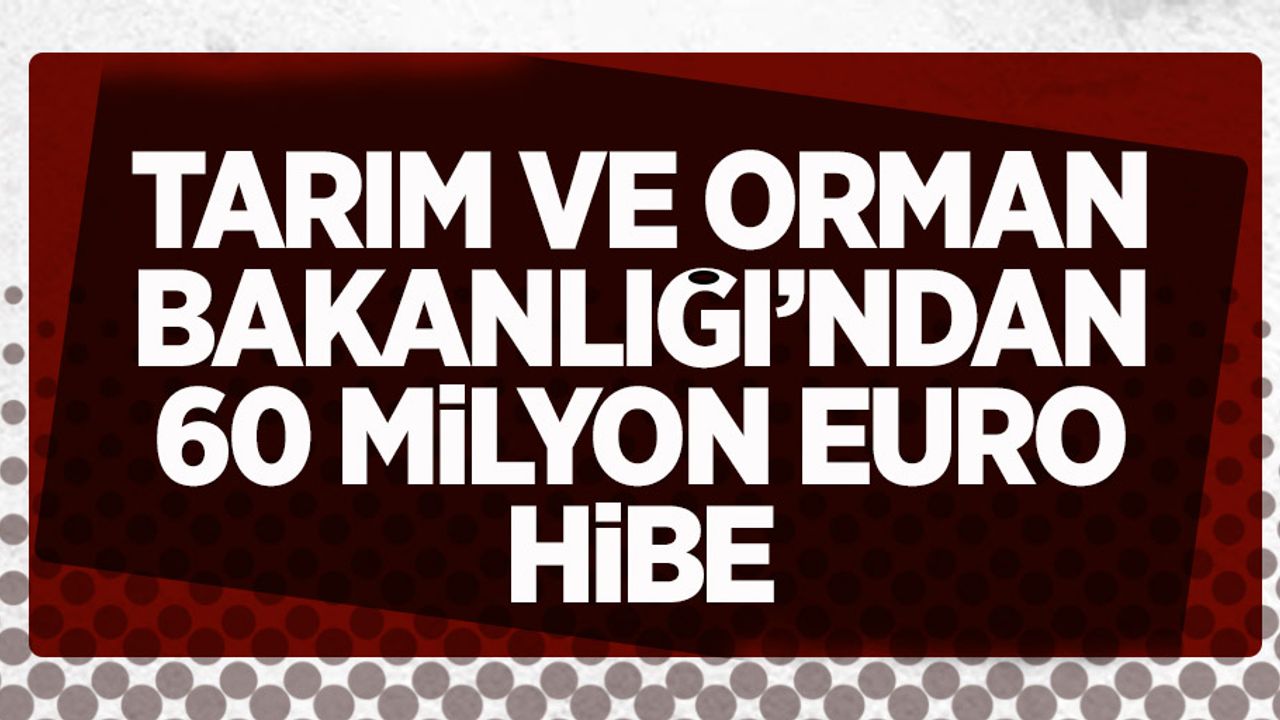Tarım ve Orman Bakanlığı'ndan 60 milyon Euro hibe