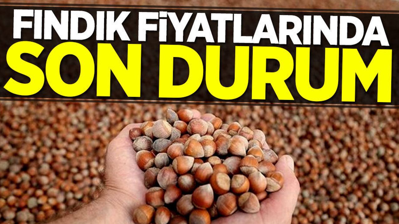 Fındık fiyatlarında son durum! İl il güncel fındık fiyatı 