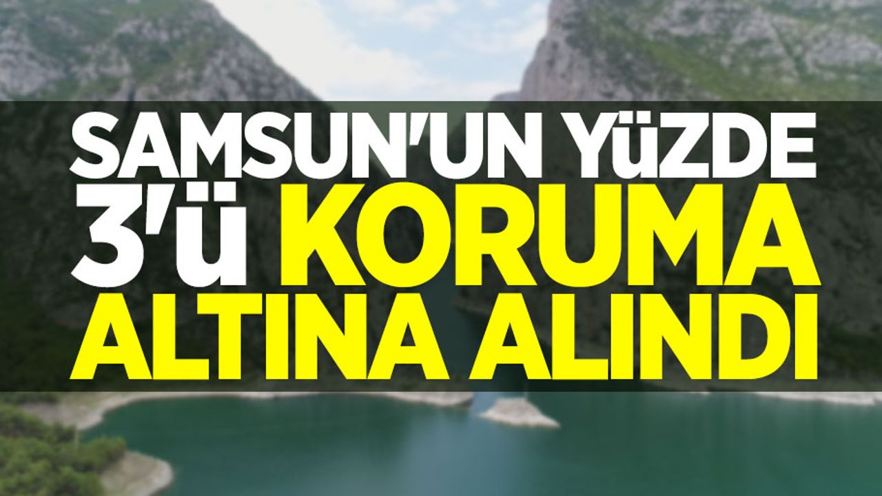 Samsun'un yüzde 3'ü koruma altına alındı