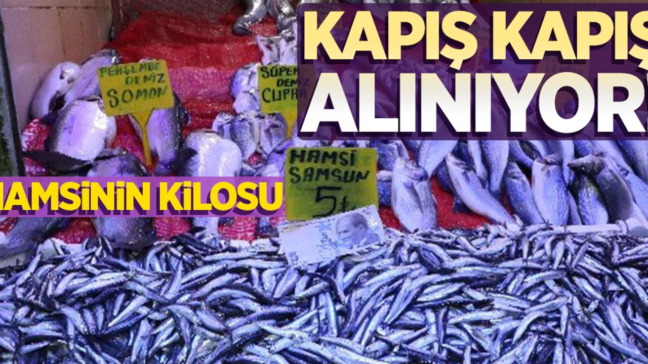 Hamsi'nin kilosu 5 lira... Kapış kapış alınıyor!