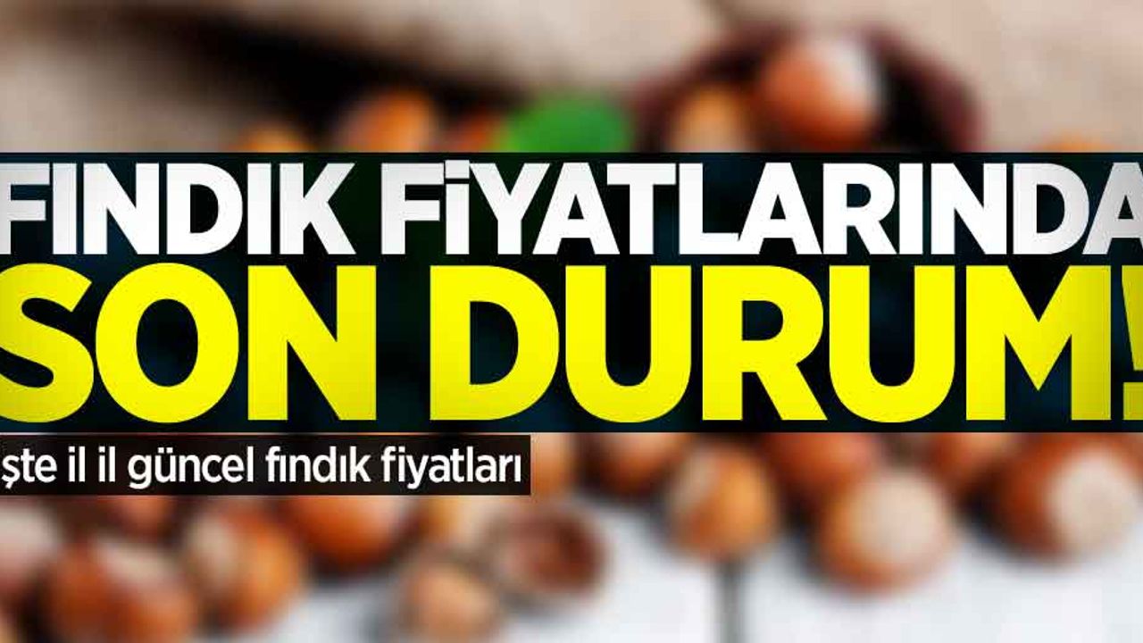Fındık fiyatlarında son durum! 9 Kasım Cumartesi il il güncel fındık fiyatları