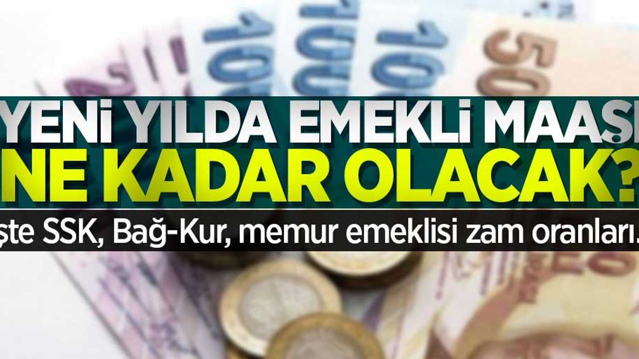2020'de emekli maaşına ne kadar zam yapılacak? 