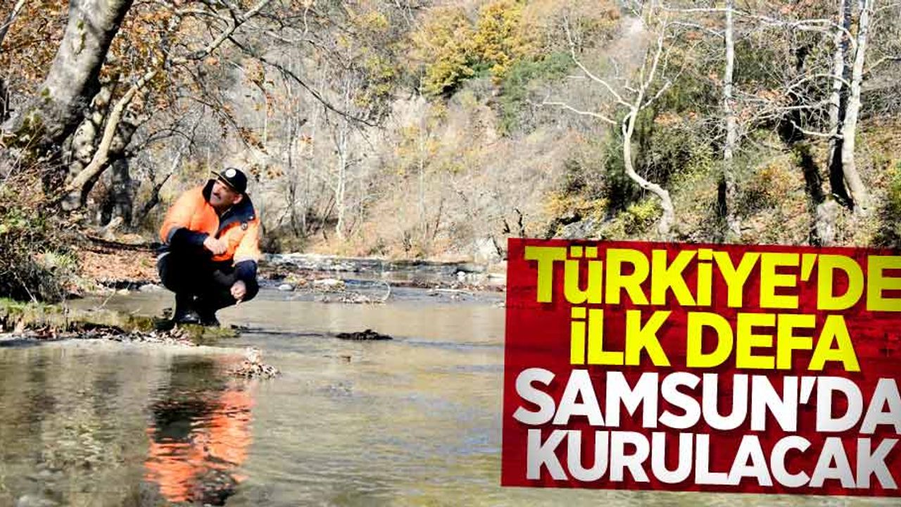 Türkiye'de ilk defa Samsun'da kurulacak 