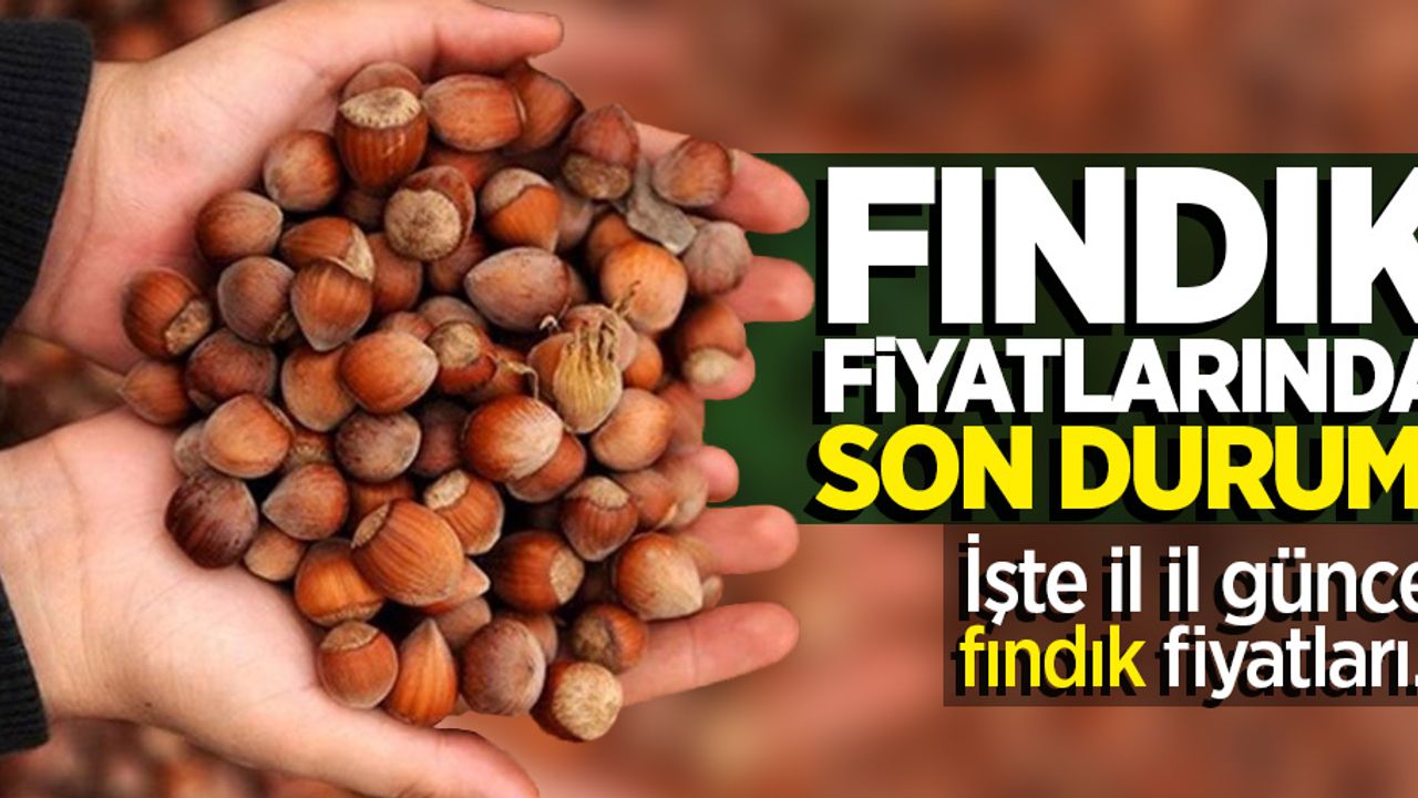 Fındık fiyatlarında son durum! 7 Ocak Salı il il güncel fındık fiyatları 