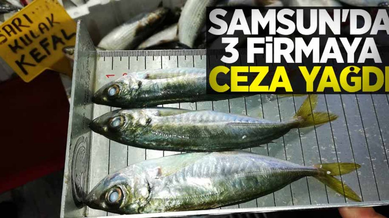 Samsun'da 3 firmaya ceza yağdı