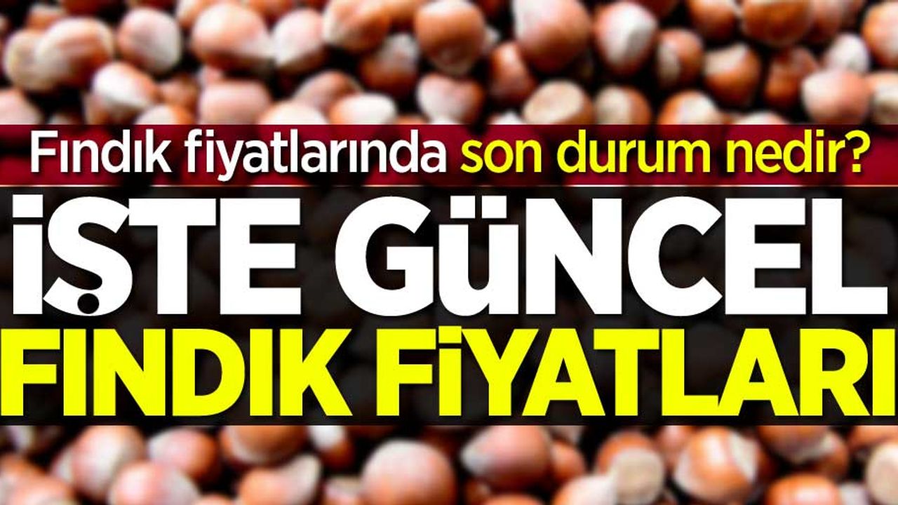 Fındık fiyatlarında son durum! 17 Şubat Pazartesi il il güncel fındık fiyatları