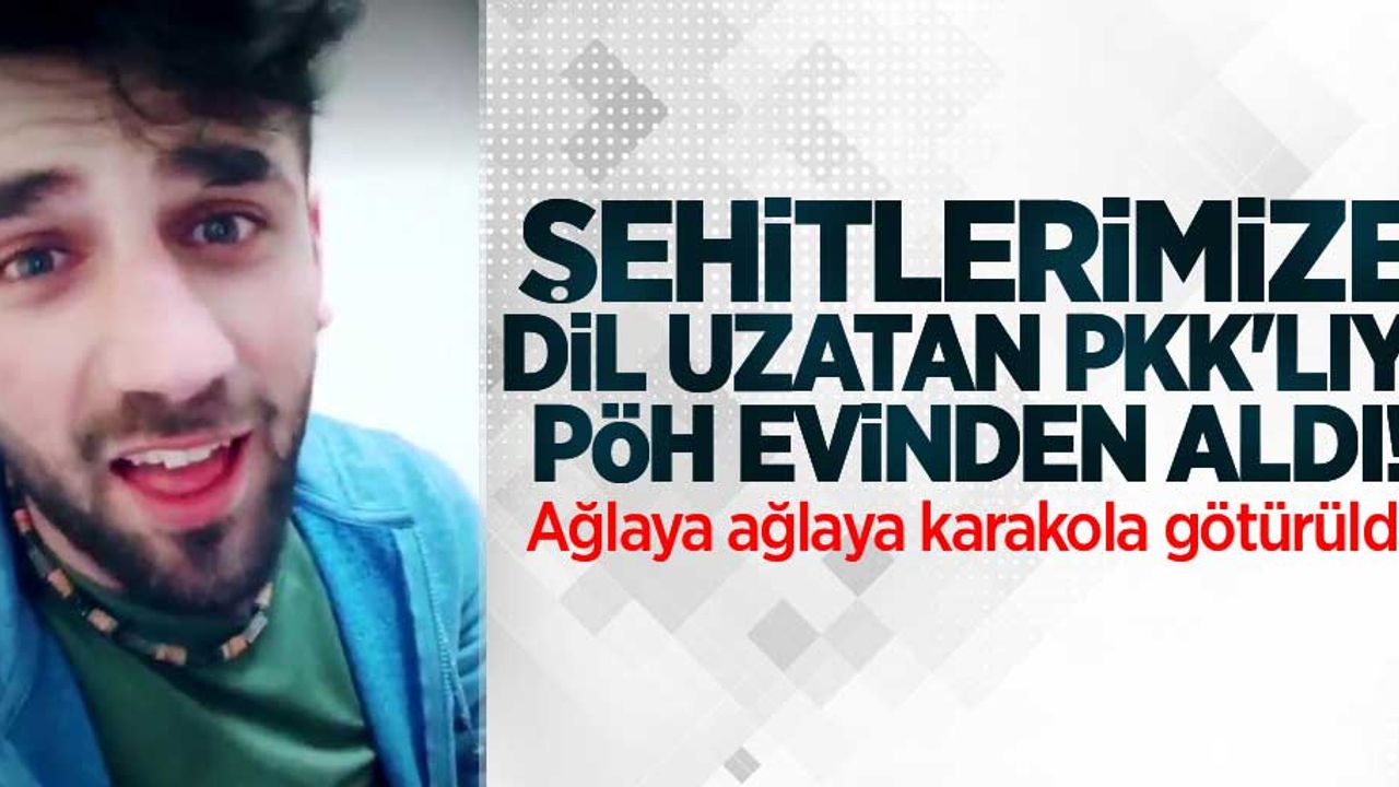 Şehitlerimize dil uzatan PKK'lıya baskın düzenlendi! Ağlaya ağlaya karakola götürüldü