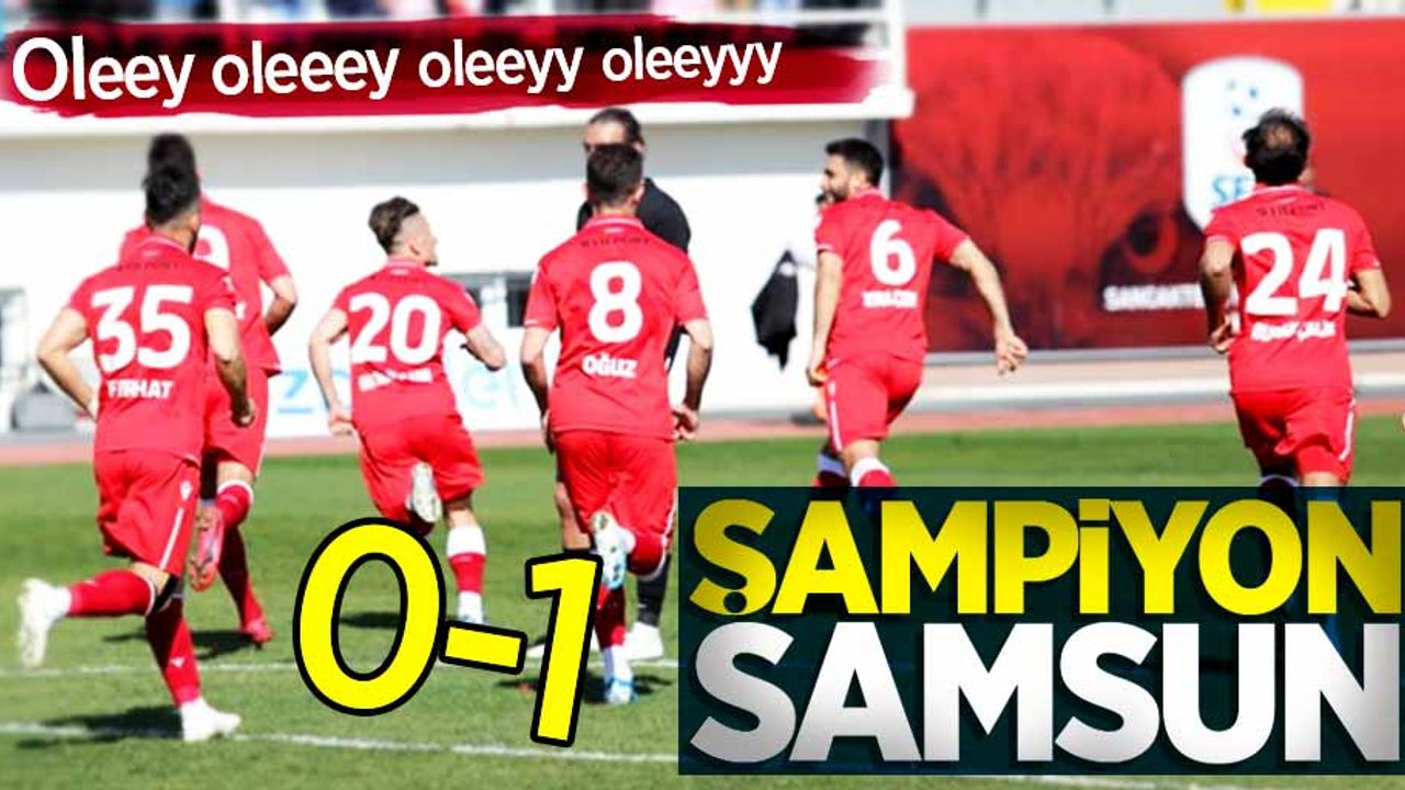 Maç sonucu: Sancaktepe 0-1 Samsunspor