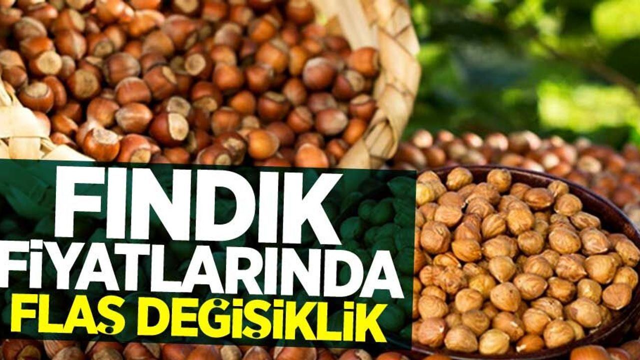 Fındık fiyatlarında son durum nedir? İşte 30 Nisan Perşembe güncel fiyatları...